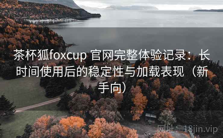 茶杯狐foxcup 官网完整体验记录：长时间使用后的稳定性与加载表现（新手向）